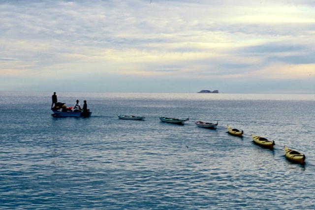  Monitored excursions 